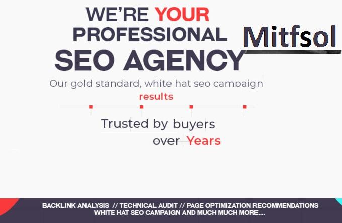 Create A Full SEO Campaign For Your Website With Resu...