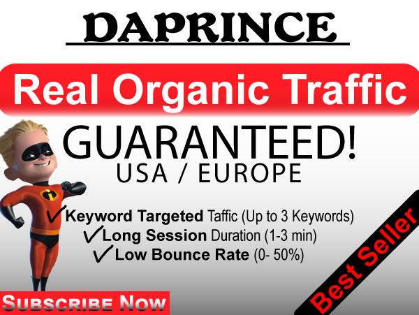 USA real human Website TRAFFIC Monthly Service