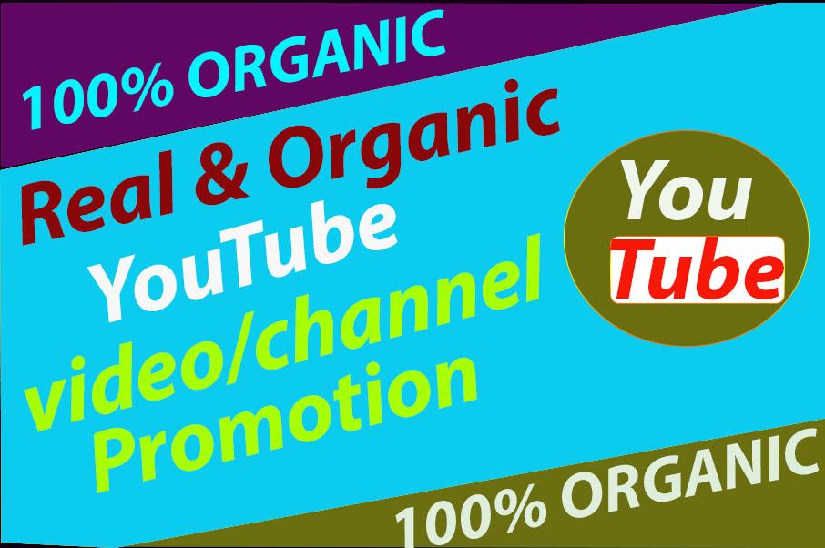 Get Super-Fast YouTube Video Promotion Via Social Med...