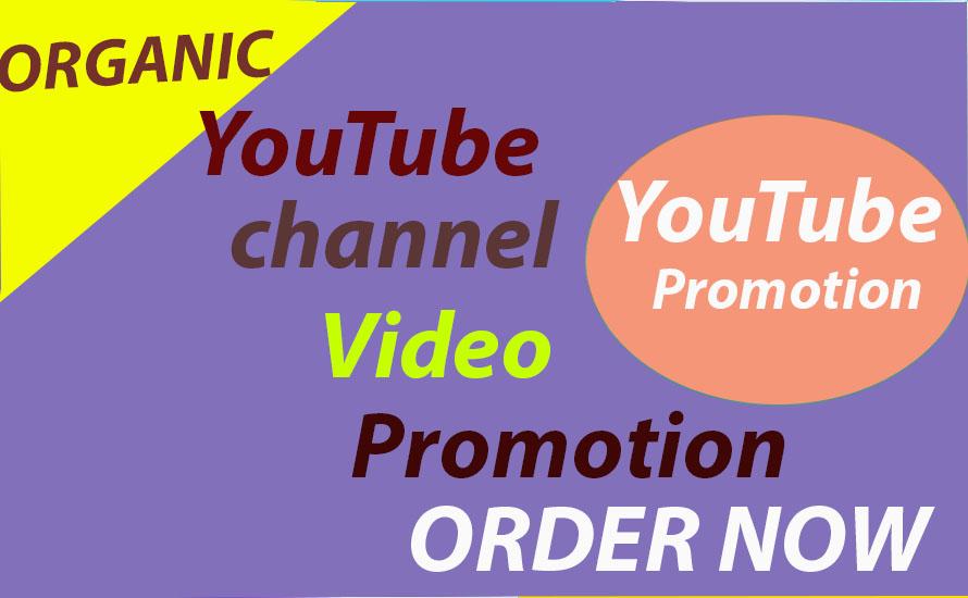 Do Amazing YouTube Promotion & Social Media marke...