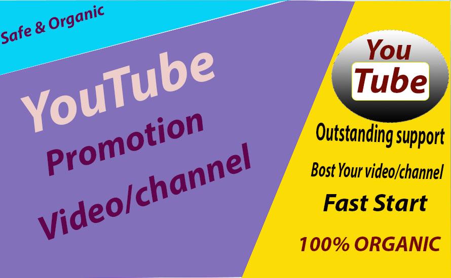 Safe High Quality Youtube Promotion & Marketing V...