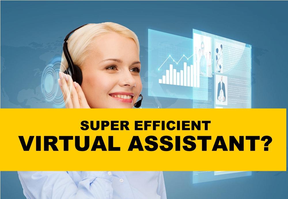 I will be your virtual assistant for data entry, dat...