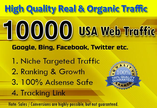 I will drive targeted web traffic from social media w...