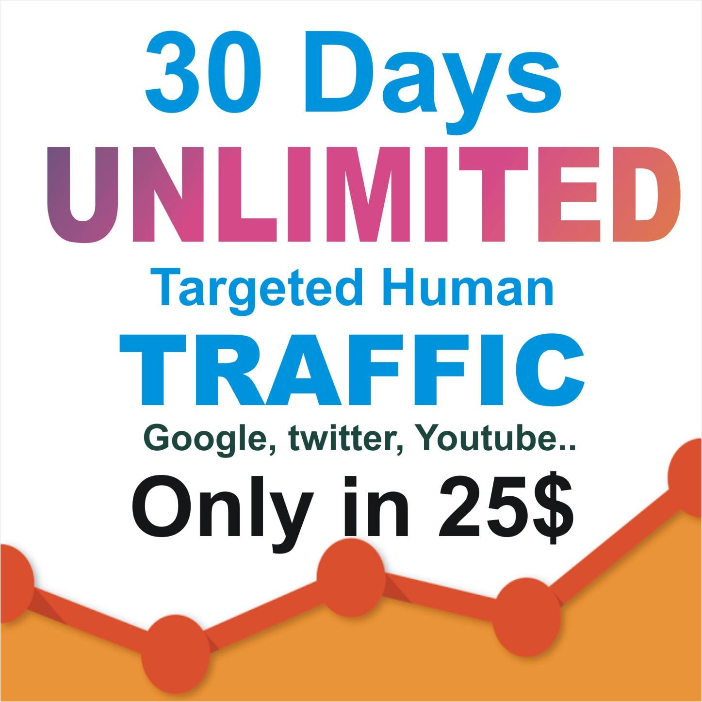 30 days UNLIMITED Real HUMAN TRAFFIC Keywords Targete...