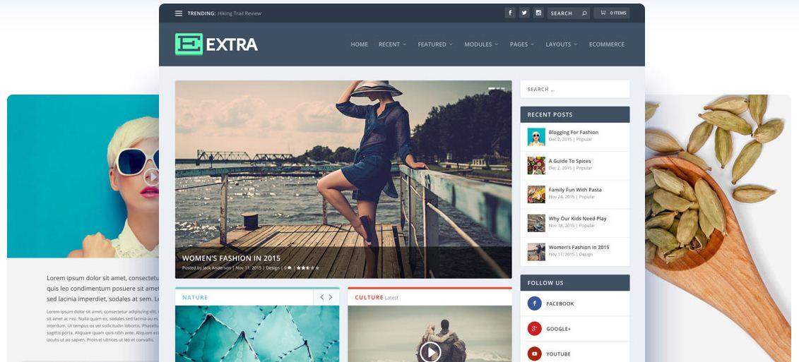 I Will Configure And Setup Any WordPress Theme With P...