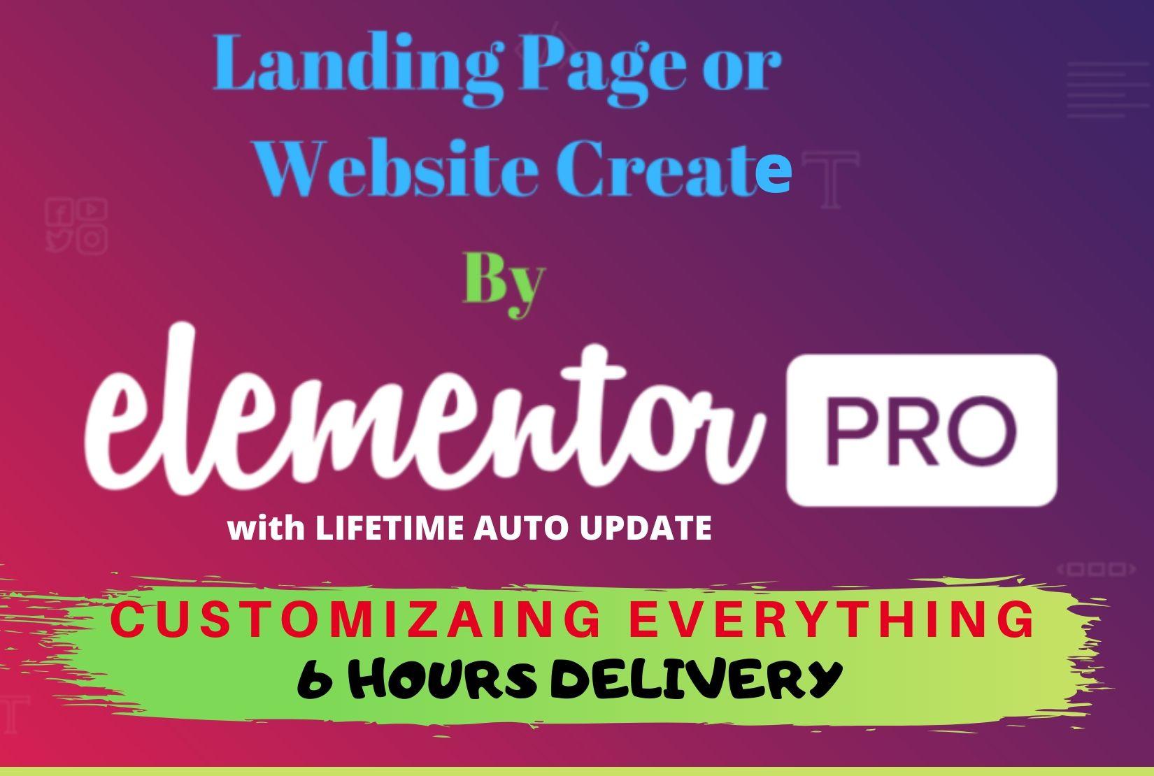 I will design landing page wordpress landing page ele...