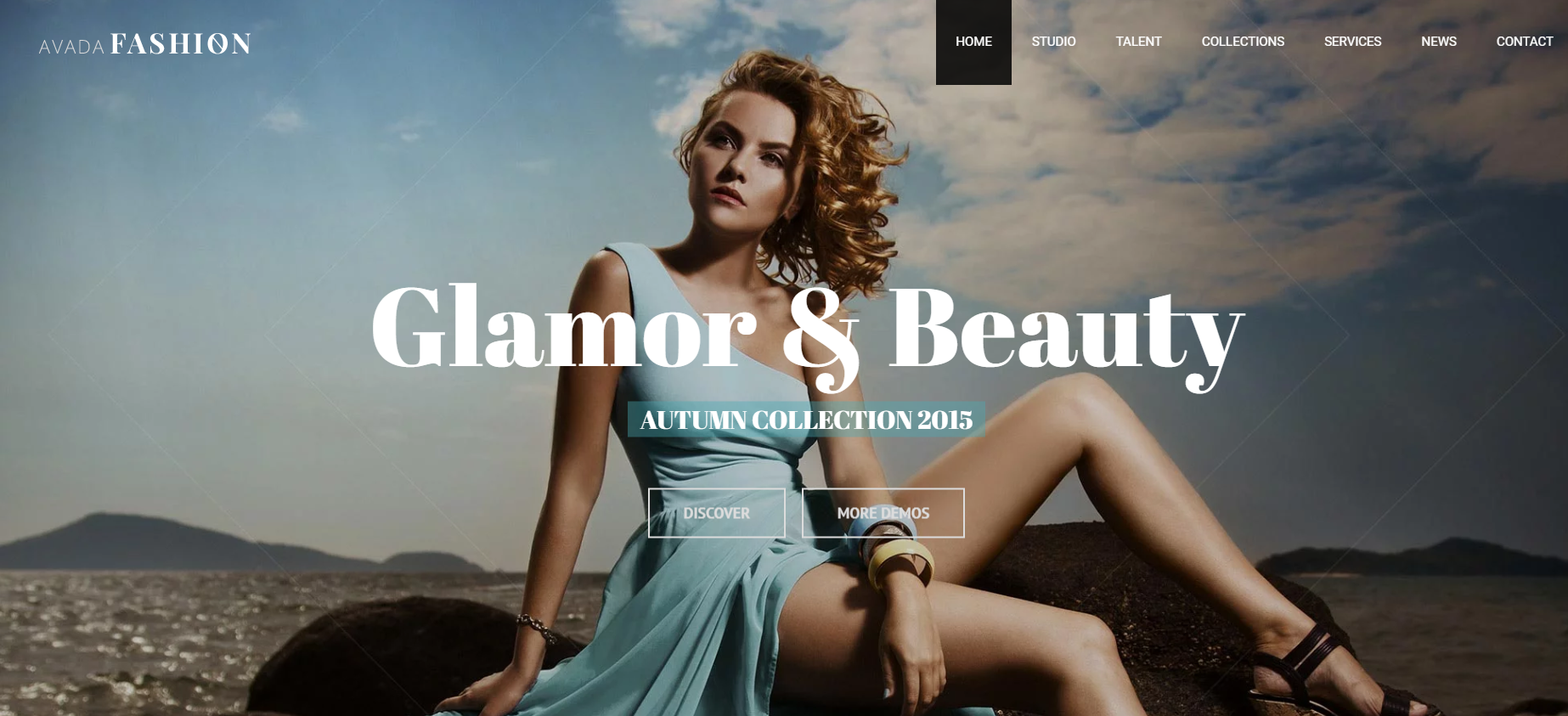 Develop Professional WordPress Website