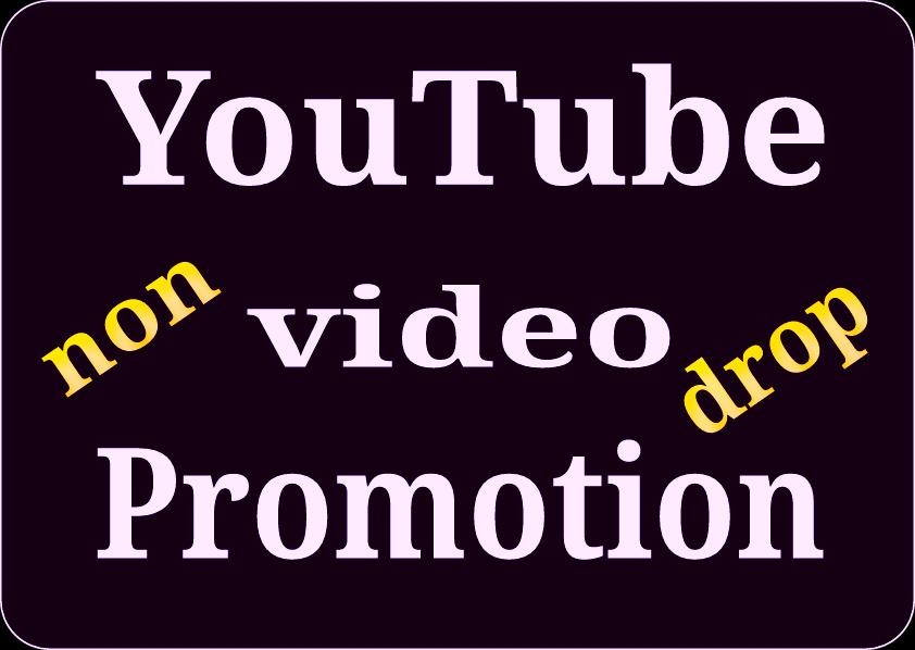 I will do manually YouTube video promotion via world ...
