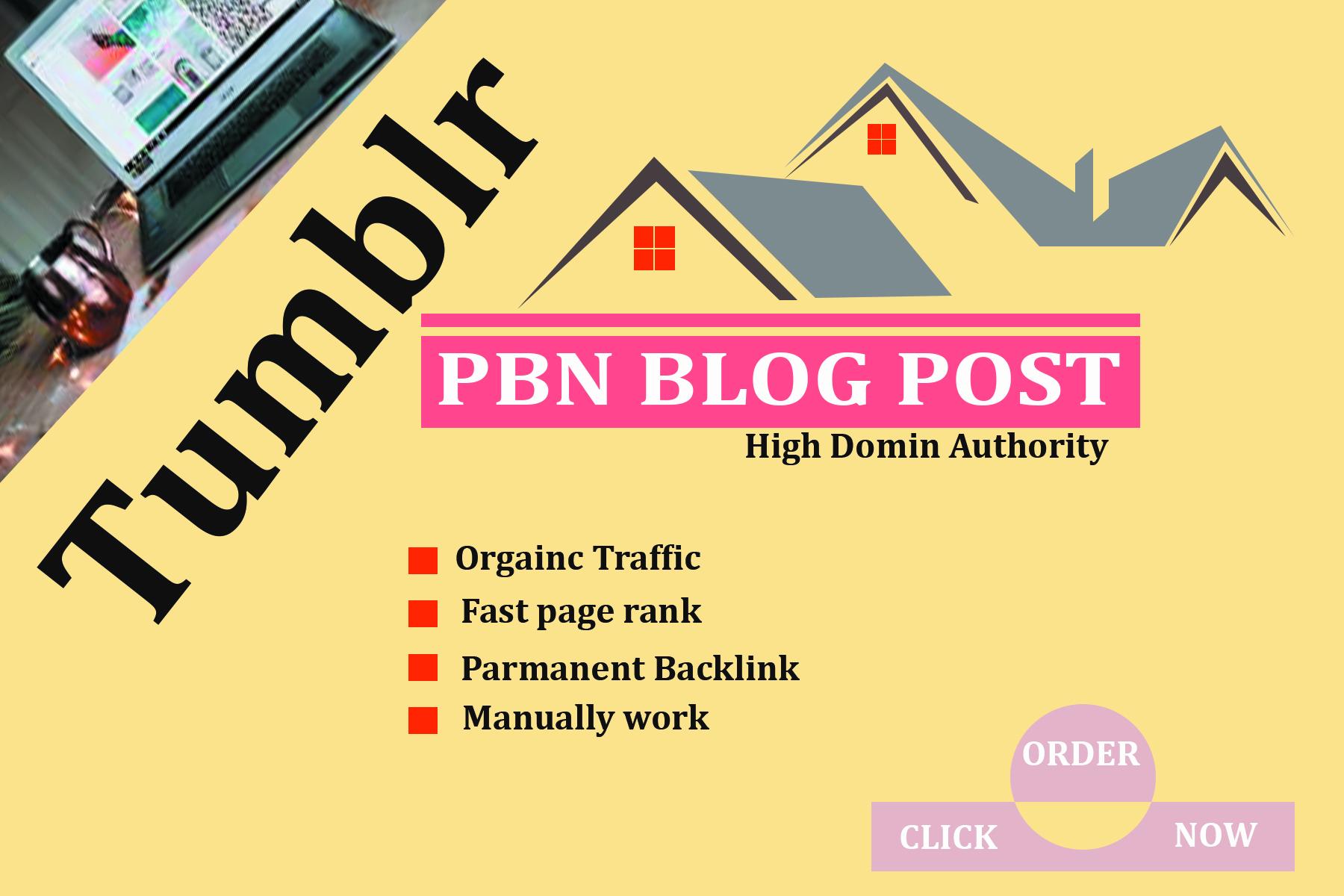 Create 10 tumblr pbn blog post high domin authority