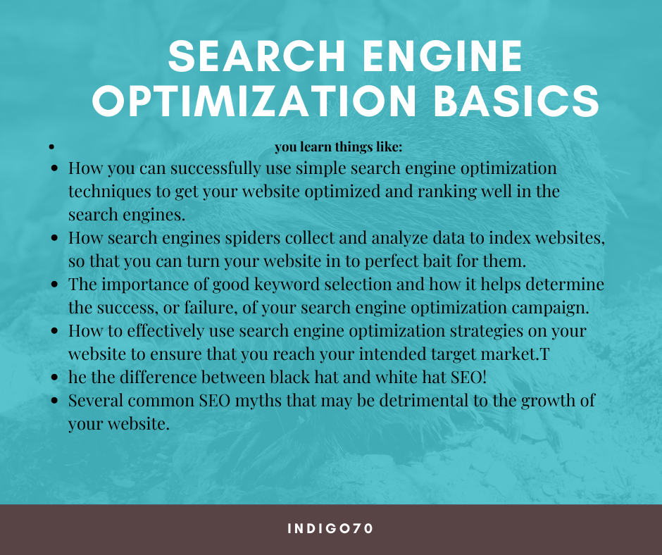 Search Engine Optimization Basics