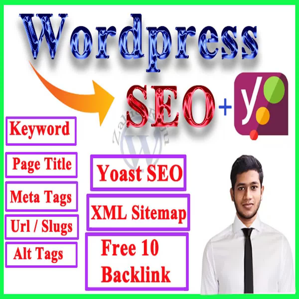 I will perform wordpress seo optimization or on page ...