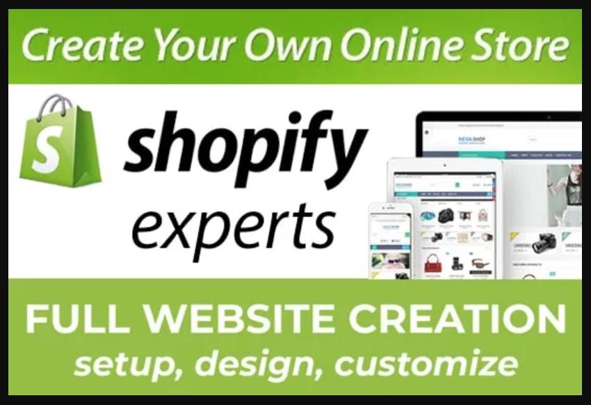 design professional shopify website dropshipping stor...