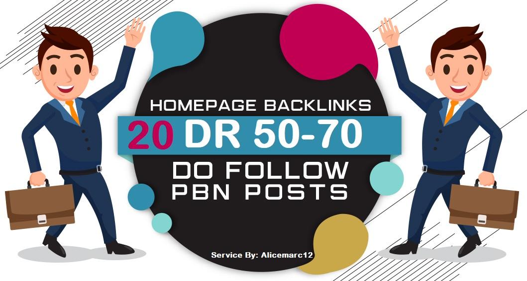 Homepage backlink 20 DR 50-70 Dofollow PBNs High Qual...