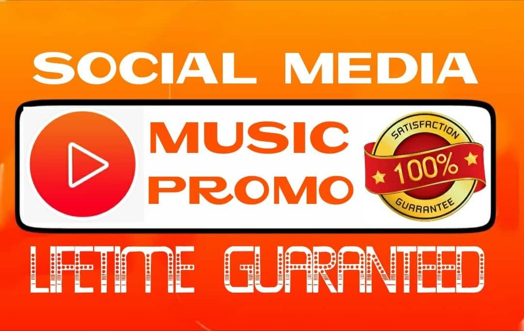 Do social media music promotion professionally