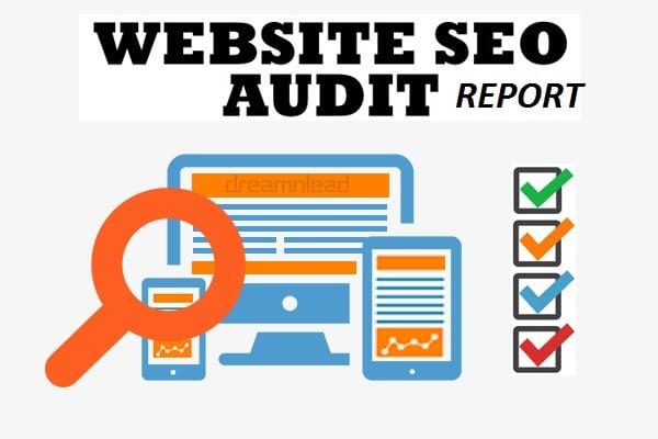 Will Manually Do Technical Audit Of Your Website And ...
