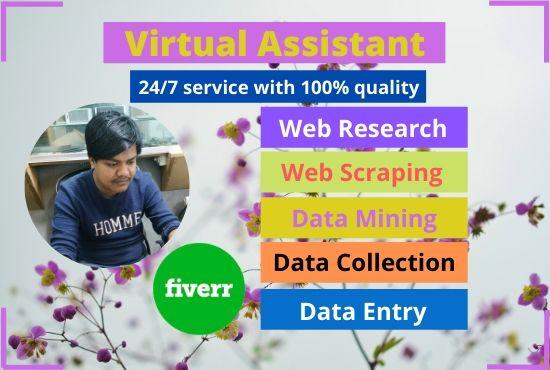 best virtual assistant, data entry and web research