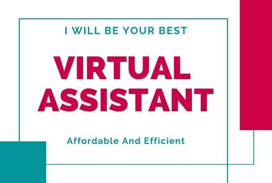 I will be your affordable and efficient virtual assis...
