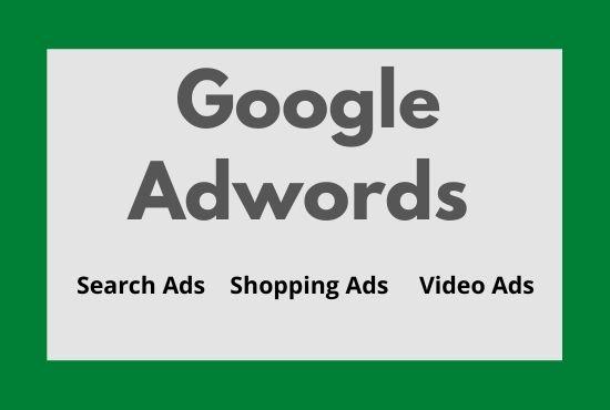 I will setup, optimize and manage google ads PPC cam...