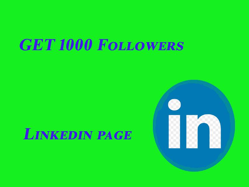 Linkedin Company Page up To 1000 People