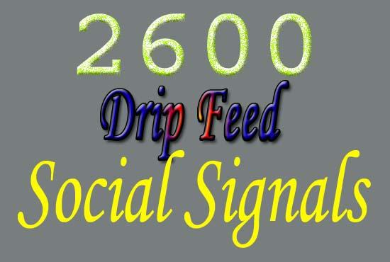 manually provide you 2600 drip feed SEO social signal...