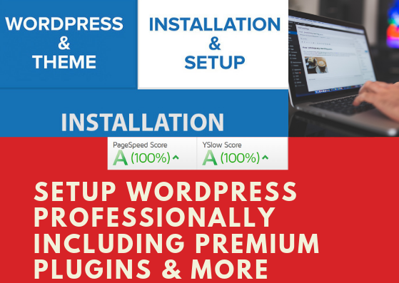 setup wordpress professionally including premium plug...
