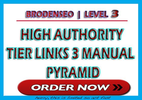 Broden Google 1st Page Pusher - High Authority Manual...