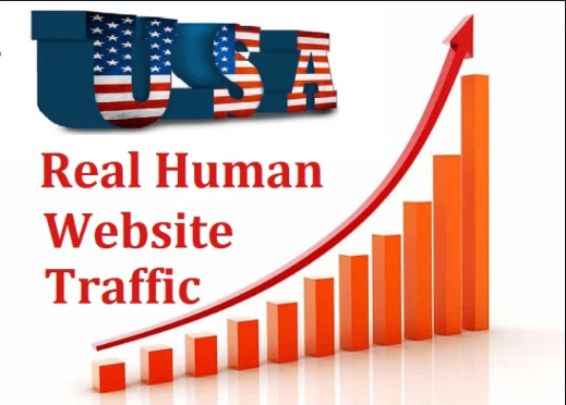 100,000 real visitors from America and Canada with un...