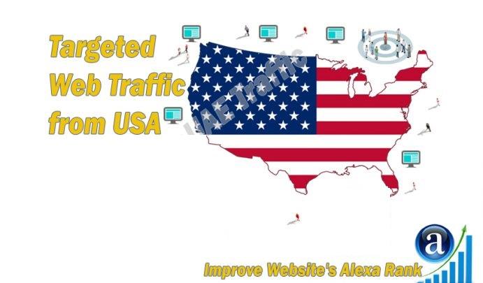 American web visitors real targeted Organic web traff...