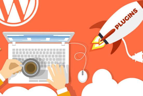 Develop Custom Wordpress Plugin in 24 hours