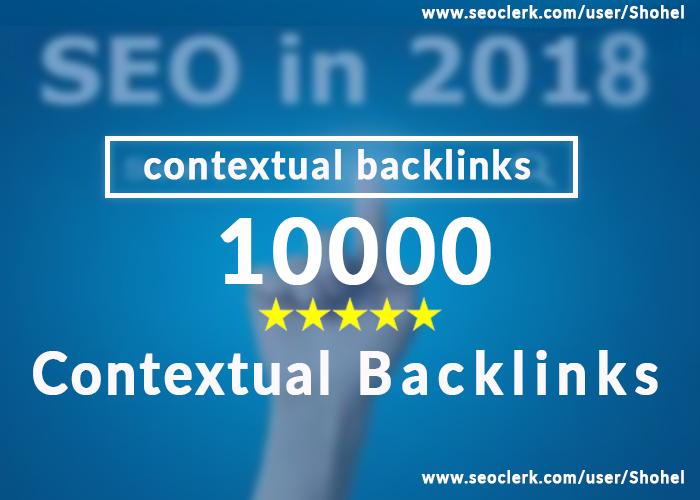 Build Manual 20 High Quality PBN Homepage Backlinks