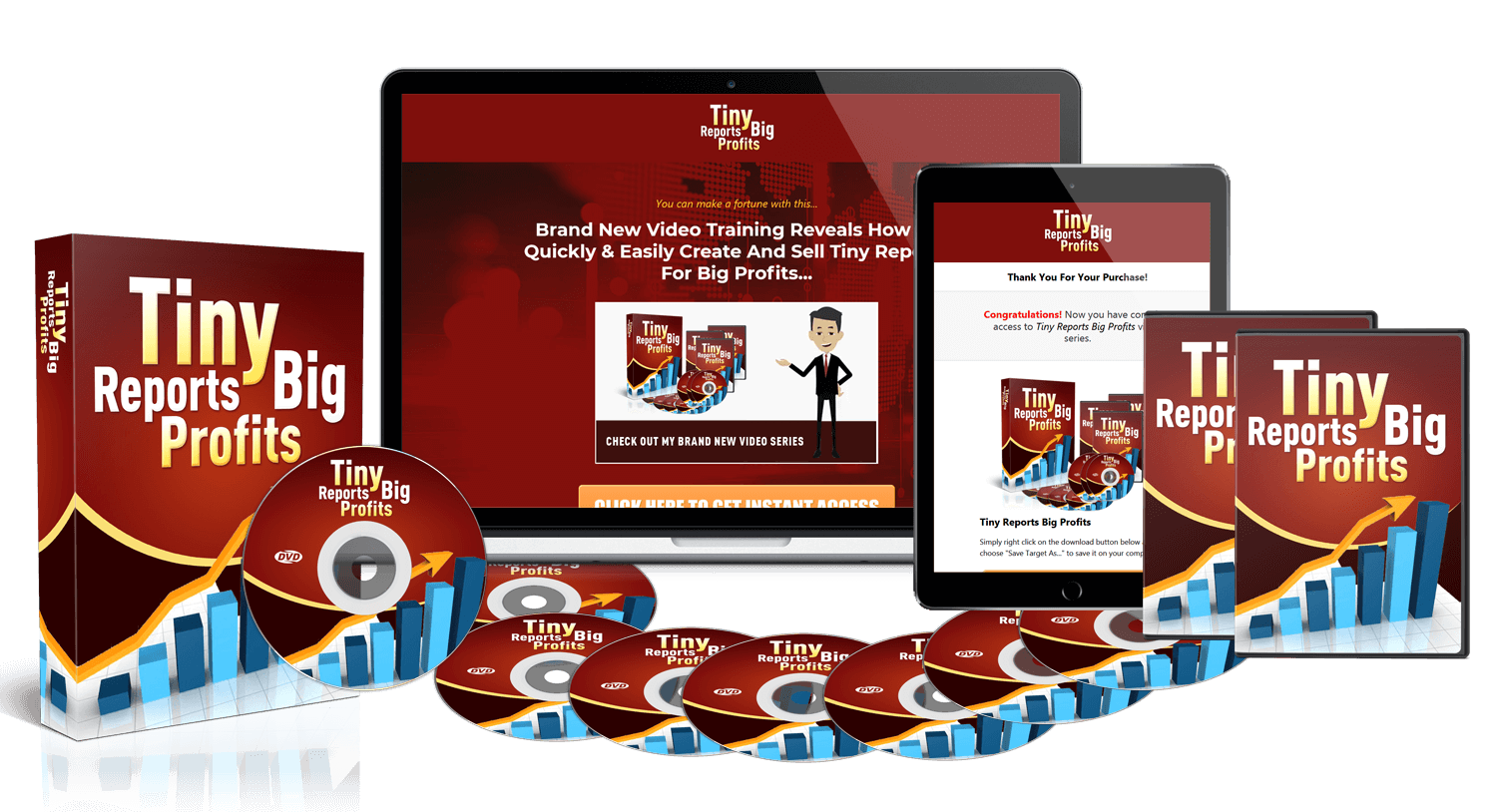 Get Tiny Reports Big Profits&rdquo Video Training PLR
