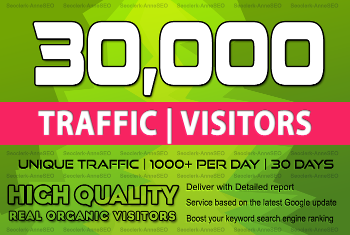 bring 30,000 real visitors, targeted web traffic fro...