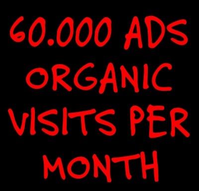 60.000 ORGANIC VISITS with your preferred keywords fo...