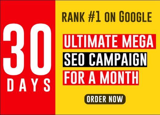 Create A Full SEO and Digital Marketing Campaign For ...