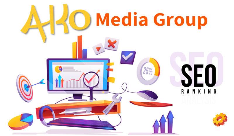 I will do onpage SEO completely manual with schema ma...