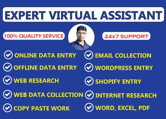 I will be your virtual assistant expert for data entr...