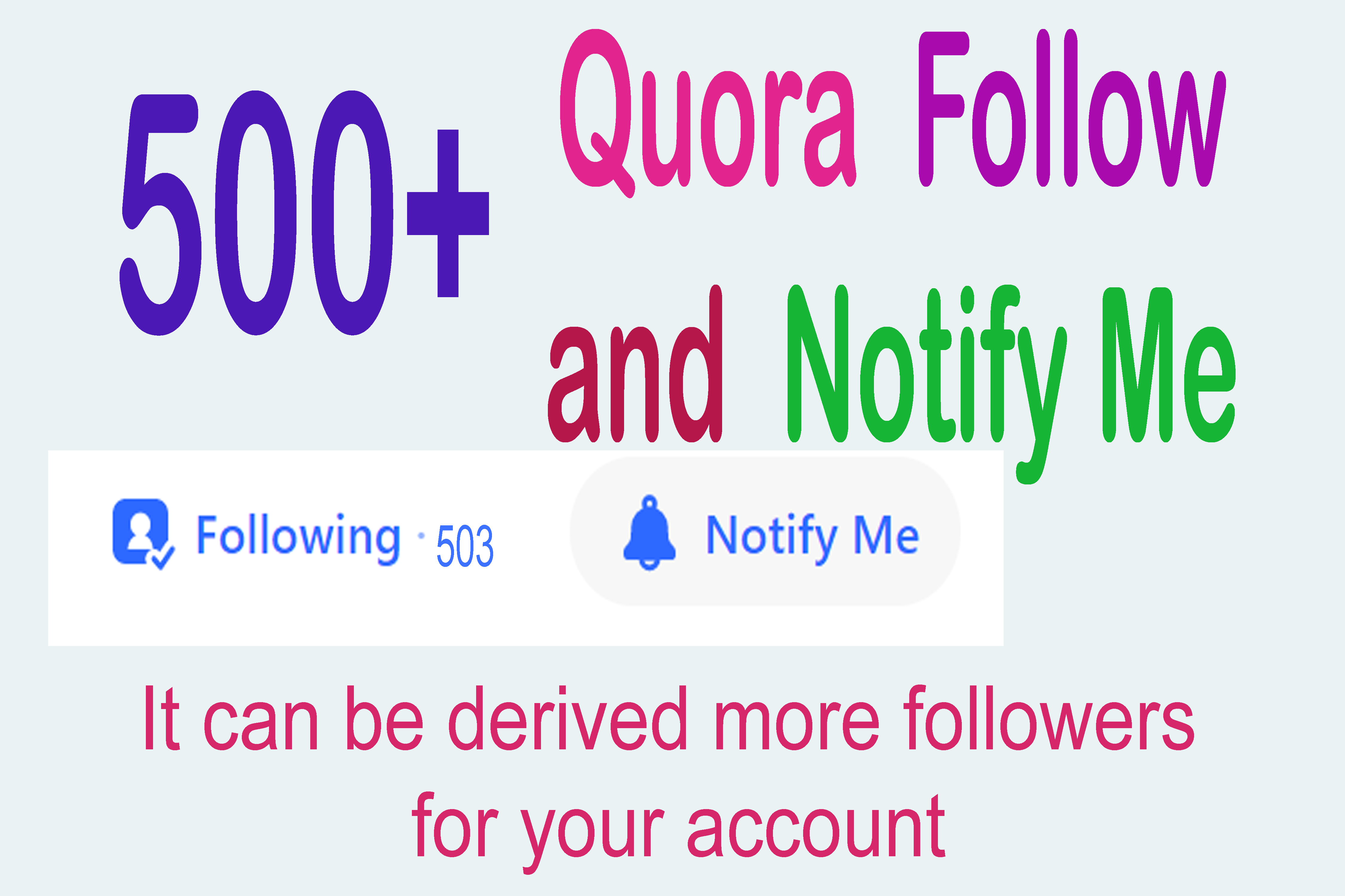 500+ Quora Permanent follower for your Account