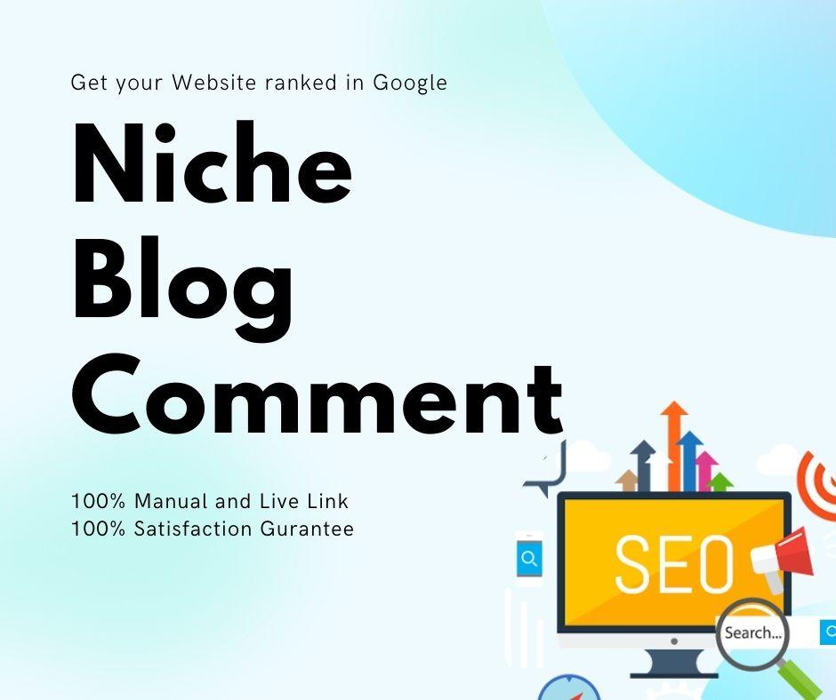 DO 120 Manual Niche Relevant Blog Comments