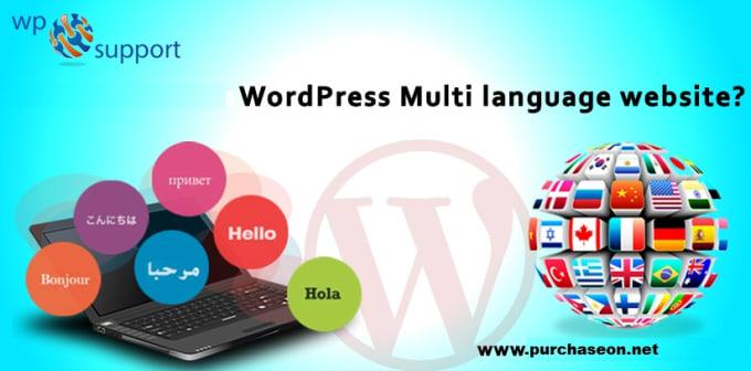 I will customize your WordPress website to Multi Lang...