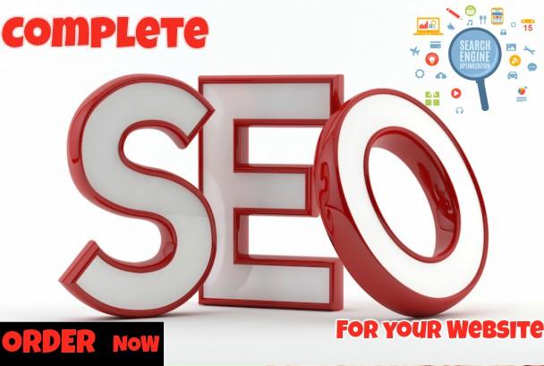 We Will Do Complete Seo For Your Website To Rank High...
