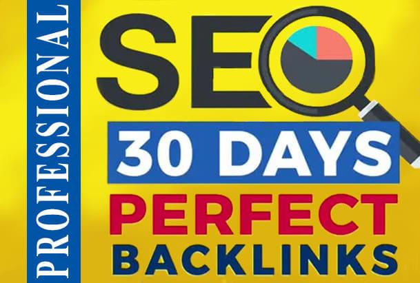 I will build perfect SEO strategy backlinks for your ...