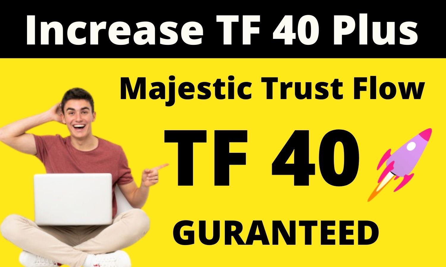 I will increase your majestic trust flow upto 40 plus...