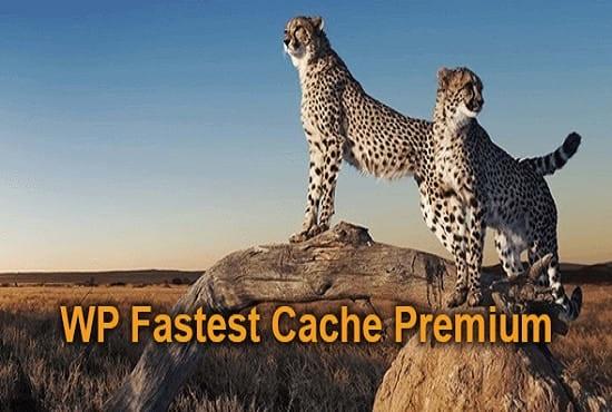 I will install WP fastest cache premium plugin to opt...