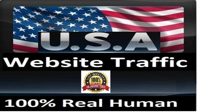 I will send website ranking, targeted usa traffic to...