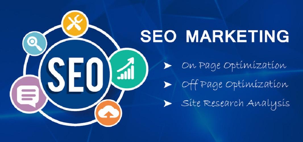 Provide full SEO for your website