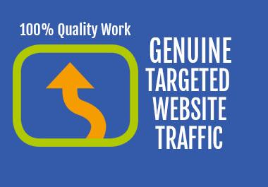 I will drive Genuine Targeted Web Traffic to Increase...