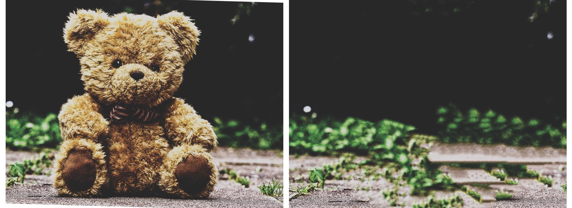 I will remove unwanted objects from your photo