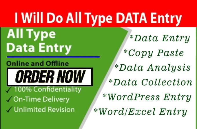 I can do any TYPES of Data Entry Works within 24 Hour...