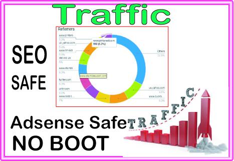 Do 4500 niche targeted website, traffic, visitors