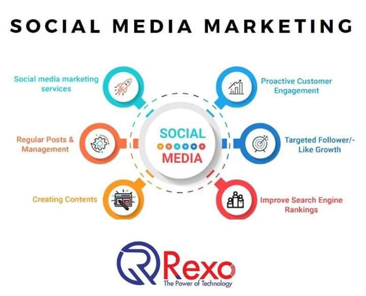 I will do good content writing in both general and te...